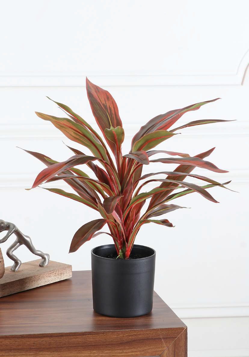 Artificial Dracaena Plant with Pot - 1.8 Feet, Red