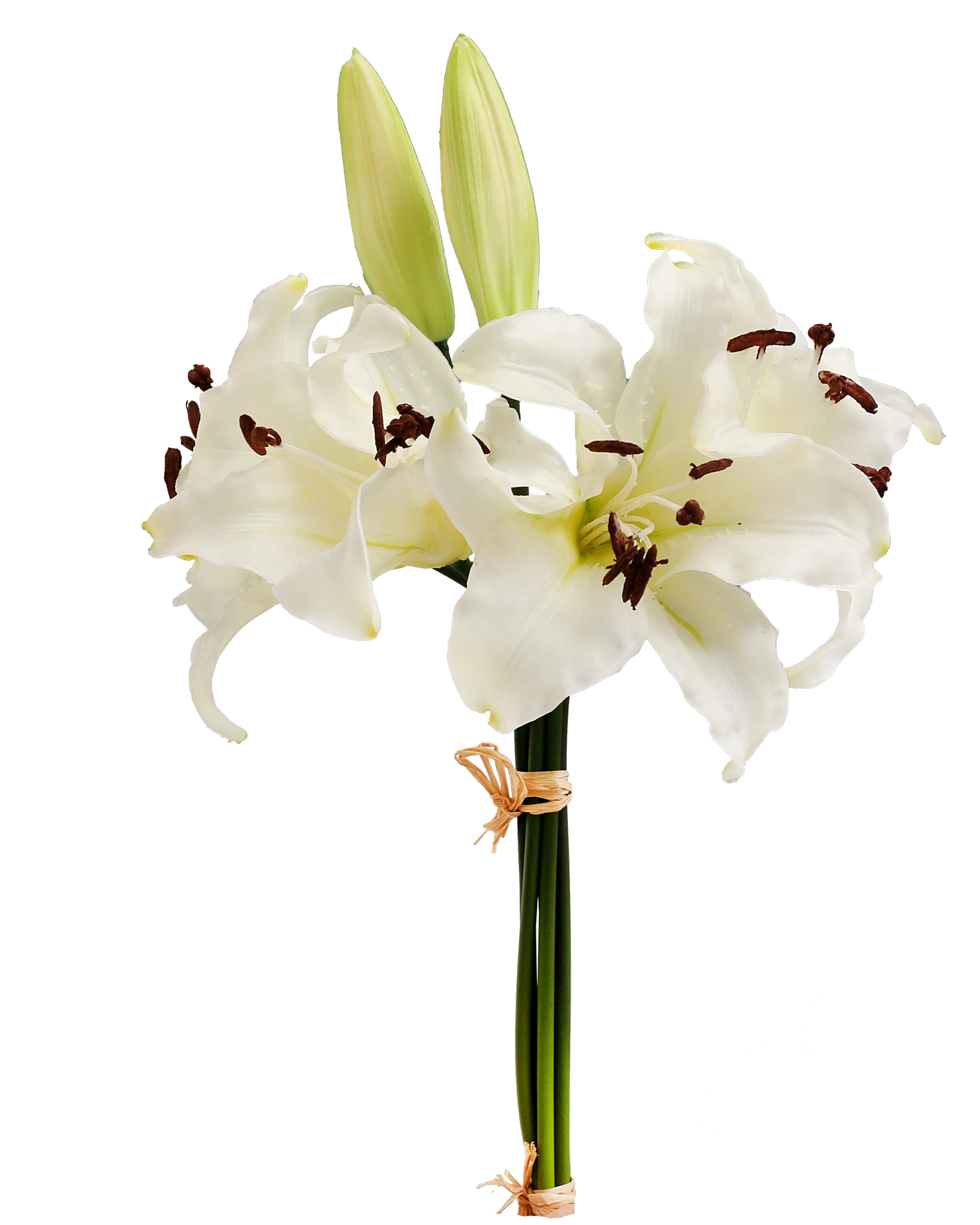 Artificial Real Touch Lily - White By Fourwalls - Image 2