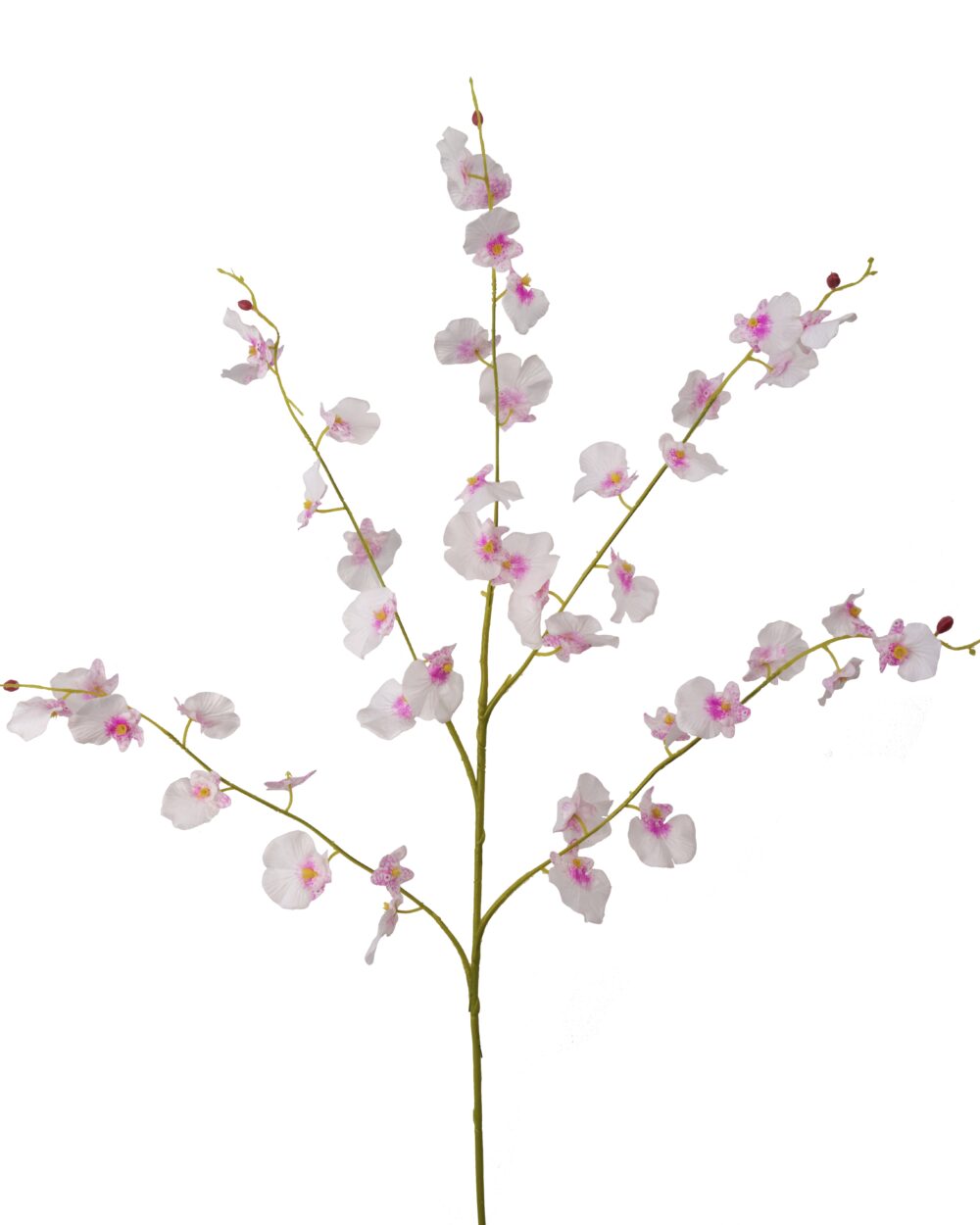 Artificial PU.D Orchid - Pink By Fourwalls