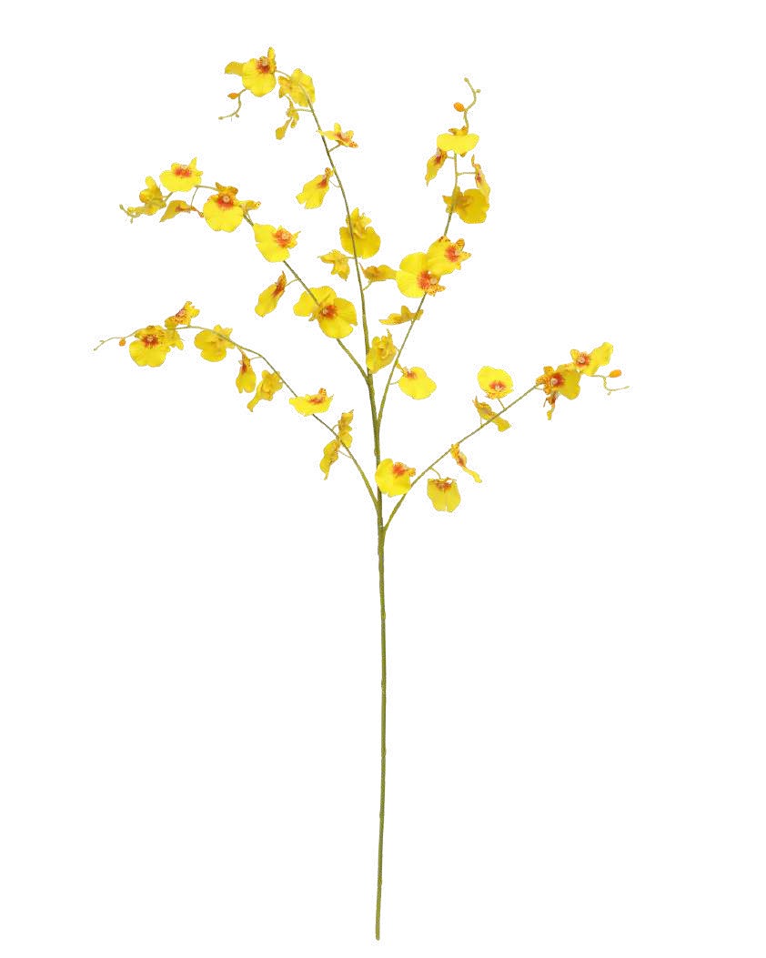 Artificial PU.D Orchid - Yellow By Fourwalls