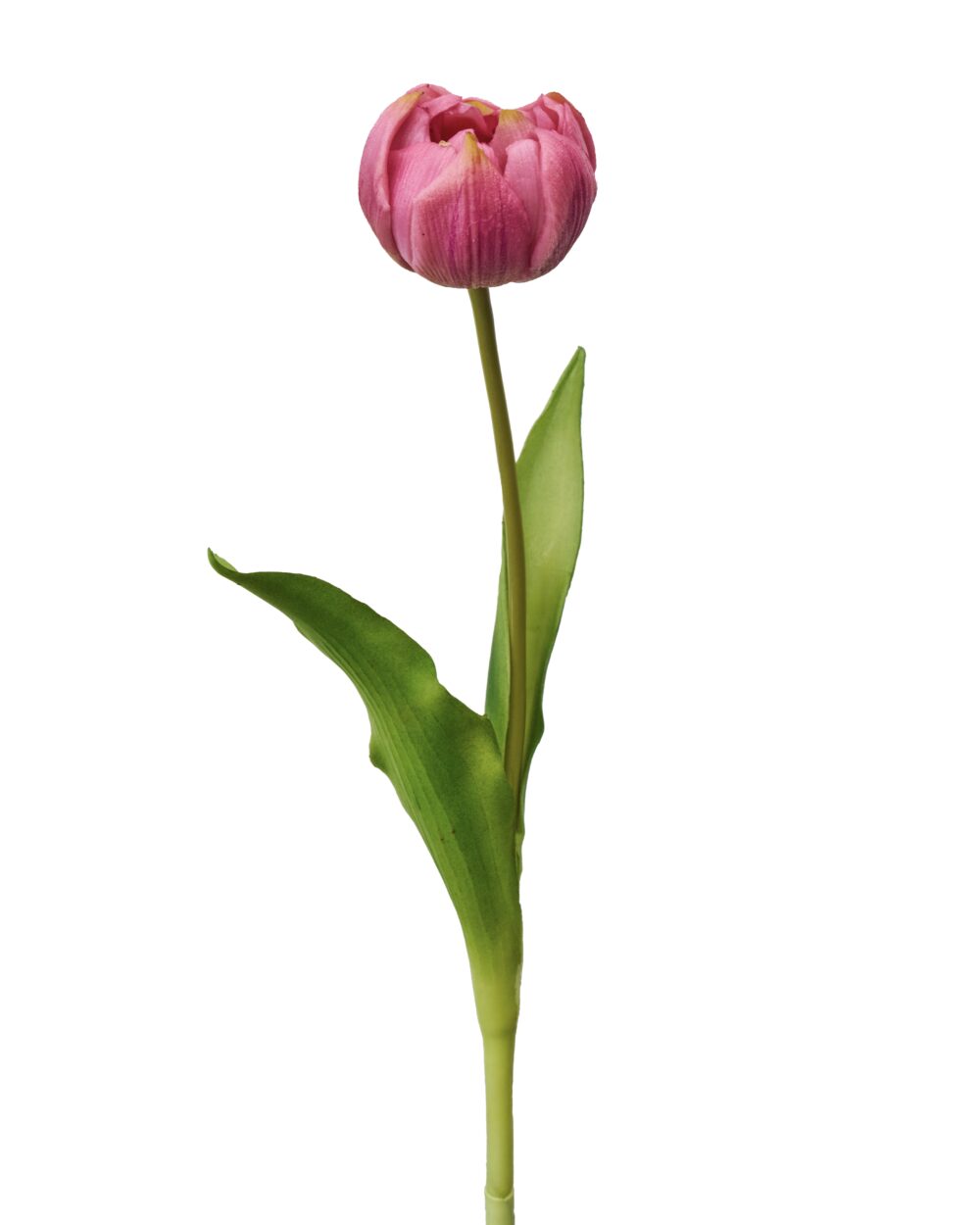 Artificial Real Touch Singal Tulip Flower - Red