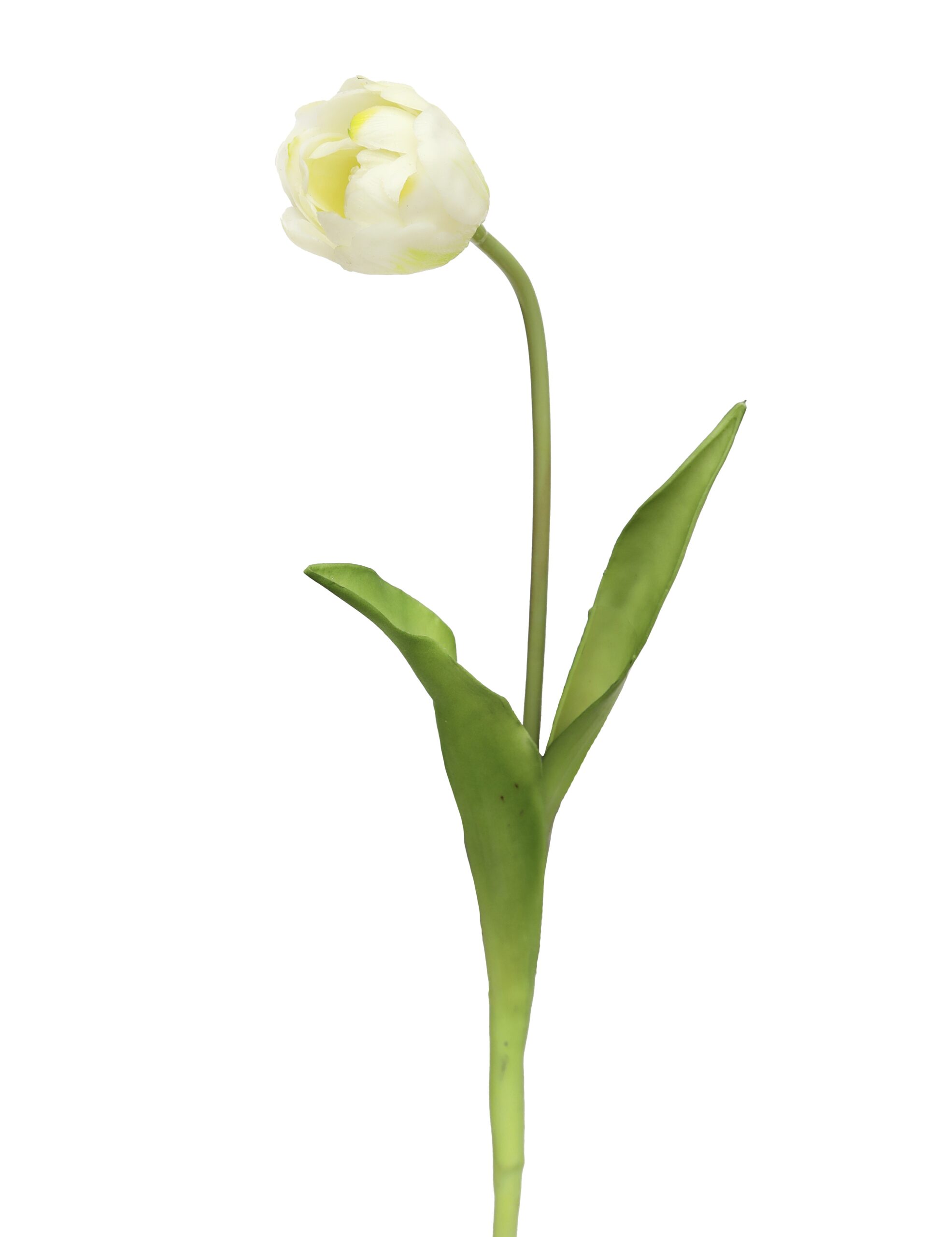 Artificial Real Touch Singal Tulip Flower - White