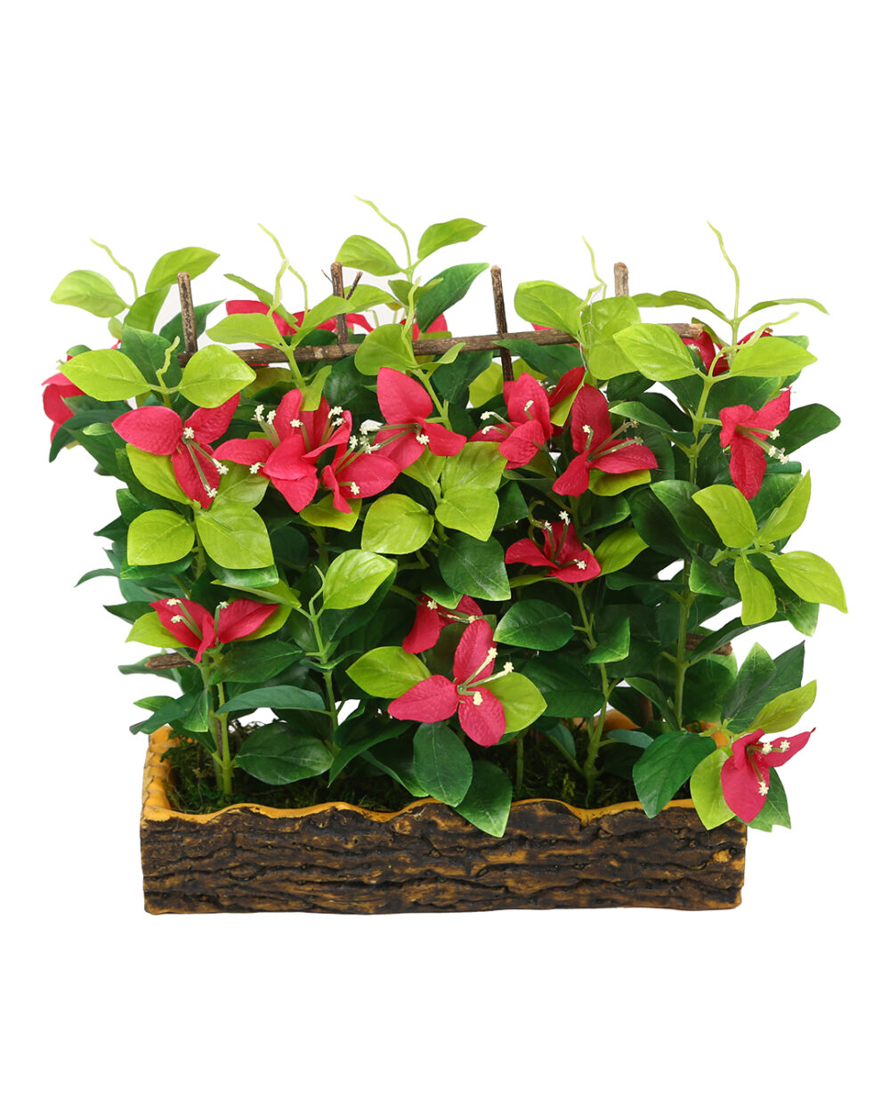 Fourwalls Elegant Bougainvillea Plant in Polyurethane Pot (27 cm Tall) Rani