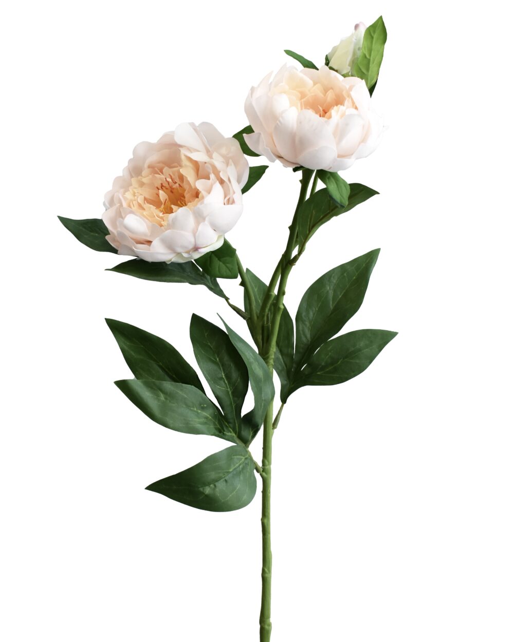 Artificial Real Touch Peony Flower Stem Cream