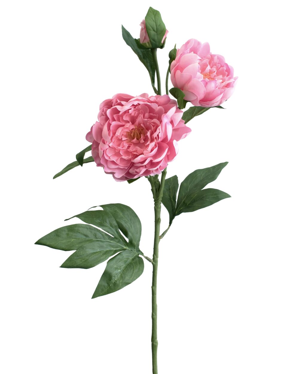 Artificial Real Touch Peony Flower Stem Pink