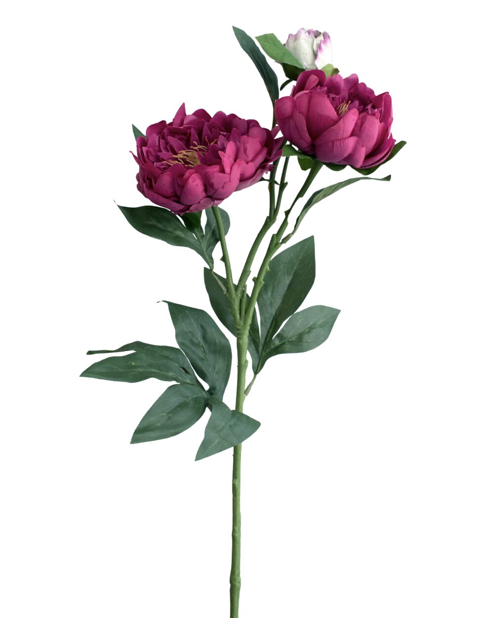 Artificial Real Touch Peony Flower Stem Maroon