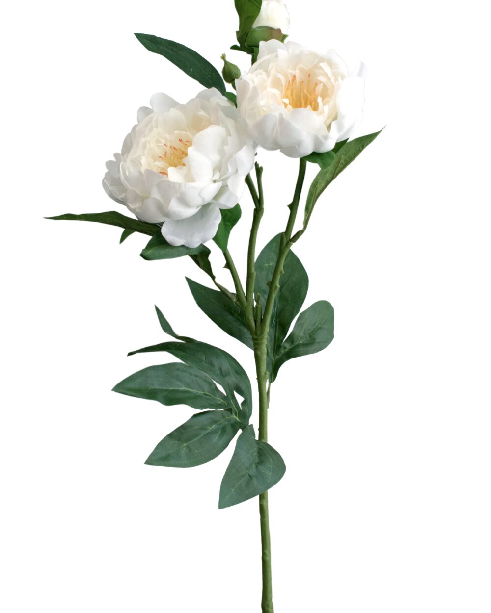 Artificial Real Touch Peony Flower Stem White