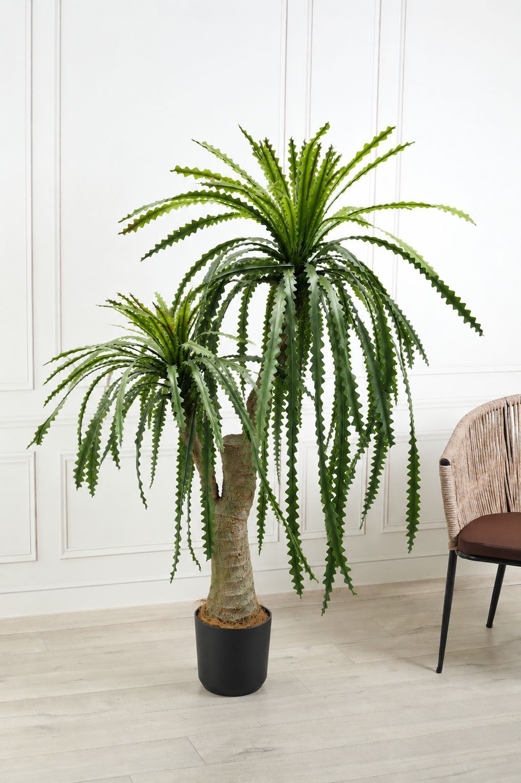 Artificial Real Touch Dragon Plant with Pot – 5 Feet