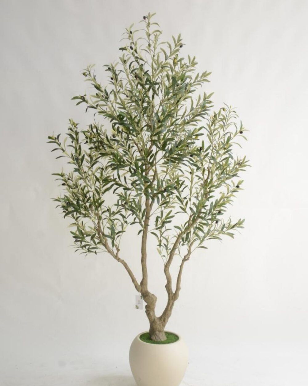 Artificial Olive Tree with Pot – 8 Feet