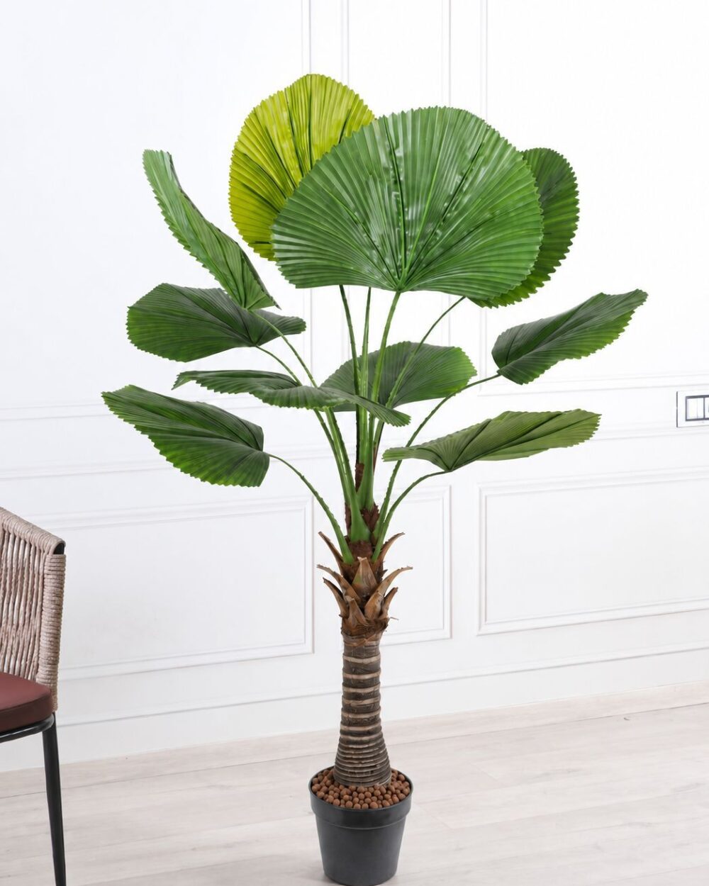 Artificial Axis Palm Plant with Pot – 5 Feet