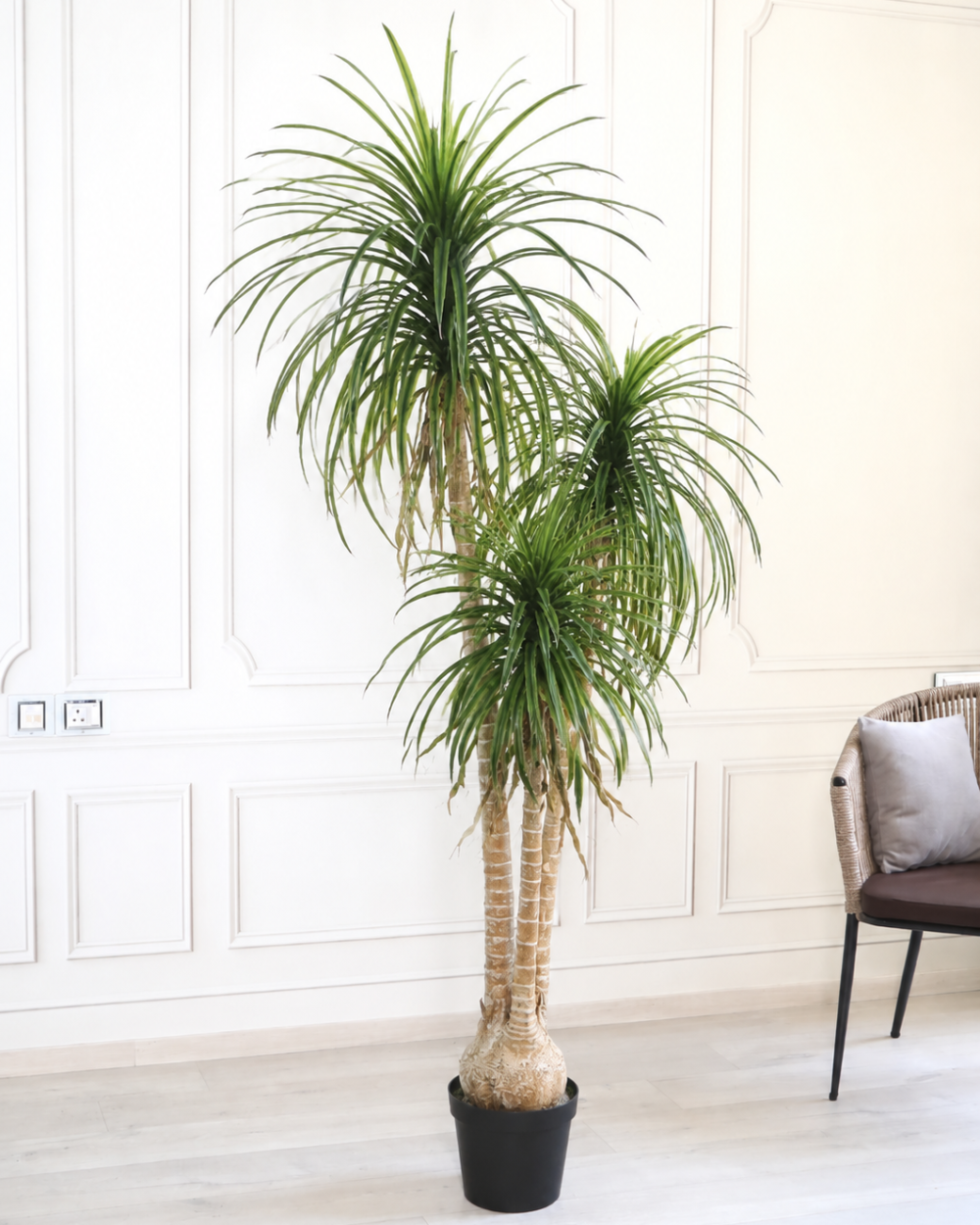 Artificial Soft Touch Yucca Plant with Pot – 230 CM Tall